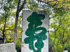 -云龙山