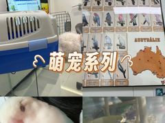 -立德异宠动物医院.兔鸟爬.内窥镜(天河店)