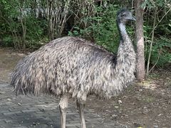 -沈阳鸟岛
