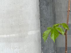 -庆丰包子铺(白塔寺店)