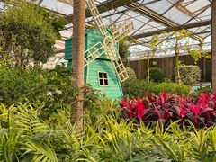 -南宫五洲植物乐园