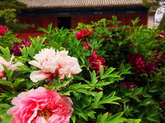 -大钟寺古钟博物馆