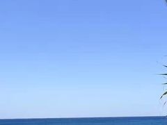 -黄金海岸