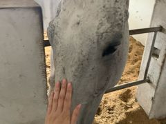 -松声马术俱乐部