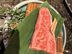 -老乾杯(深圳湾万象城店)