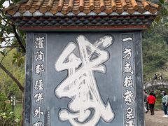 -靖西鹅泉风景区