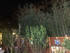 -东芭乐园