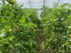 -万源龙顺度假庄园生态观光园