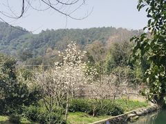 -树山生态村