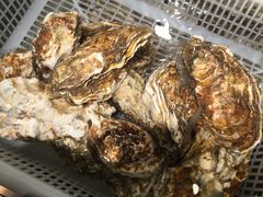 -马路边上·小海鲜烧烤(八一路店)