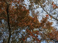 -广州市石门国家森林公园