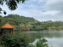 -深圳仙湖植物园