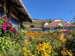 -优游吧斯邹族文化部落