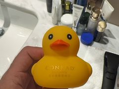 -北京康莱德酒店