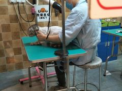 -我爱吾宠宠物美容院(朝阳路店)