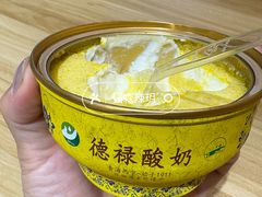 -德禄酸奶(莫家街店)