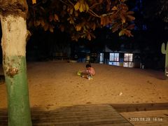 -宁波九龙湖开元度假村