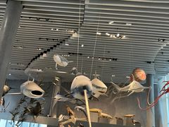 -自然博物馆(地铁站)