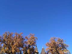 -北京石刻艺术博物馆(五塔寺)