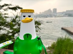 -小麦岛公园