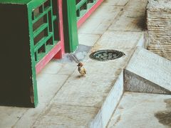 -郭守敬纪念馆