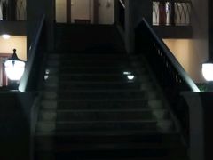 -圣爵菲斯大酒店(长沙世界之窗店)