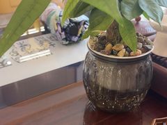 -八马茶业(星海胜利路旗舰店)