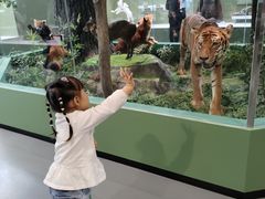 -国家自然博物馆