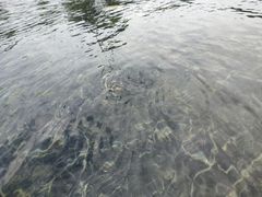 -上海月湖雕塑公园