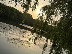 -西湖游船