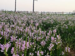 -汉长安城未央宫国家考古遗址公园