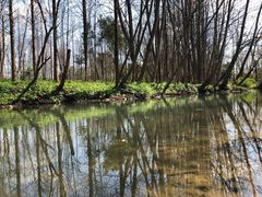 -桤木河湿地公园