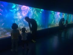 -左海海底世界