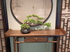 -成都杜甫草堂博物馆