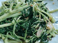 -芭厘农庄老字号·清远鸡