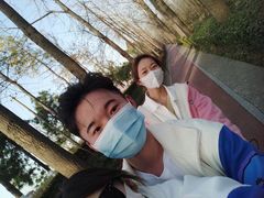 -合肥滨湖国家森林公园