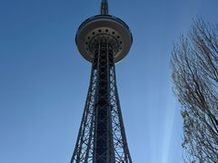 -龙塔