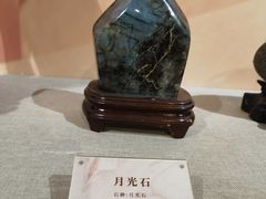-安徽省地质博物馆
