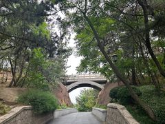 -北岭山森林公园