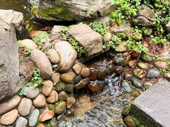 -成都市活水公园