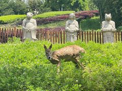 -宁波野生动物园