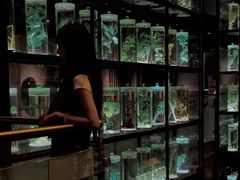 -广东中医药博物馆