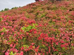 -瑞安圣井山景区