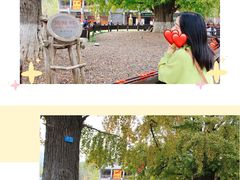 -千年银杏谷文化旅游区