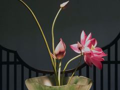 -见山茶事(丽水路店)