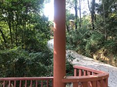-南山植物园