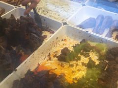 -廖记棒棒鸡(金楠天街店)