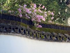-上海醉白池公园