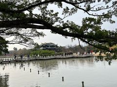 -江心屿景区