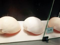 -广东惠东海龟国家级自然保护区